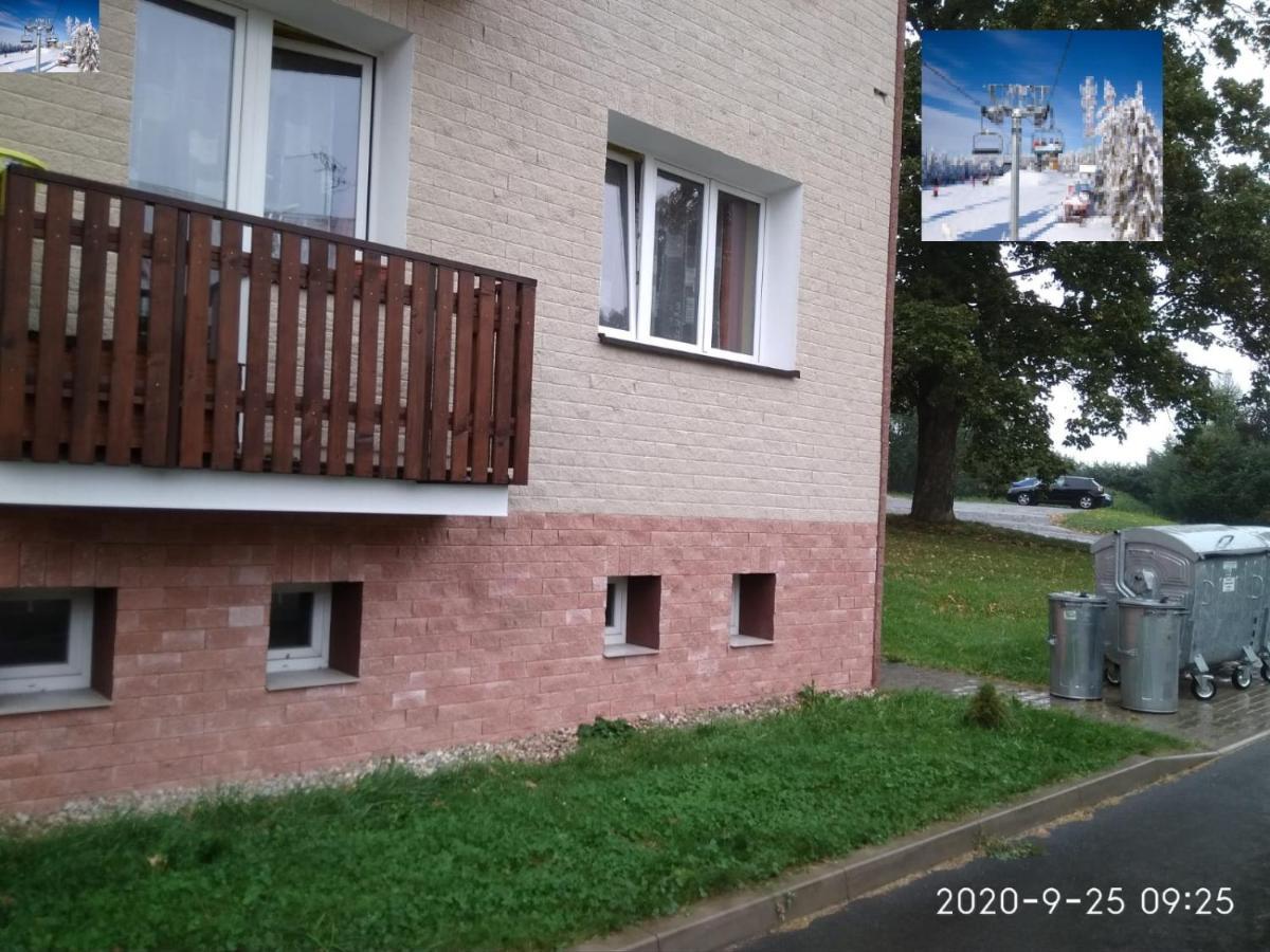 Plne Vybaveny 2+1Byt S Balkonem A Koji Pro Kola A Lyze. Rokytnice v Orlických Horách 외부 사진