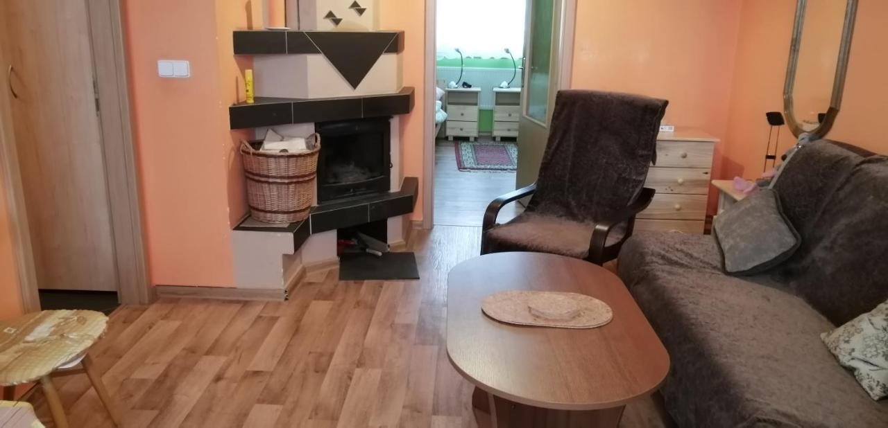 Plne Vybaveny 2+1Byt S Balkonem A Koji Pro Kola A Lyze. Rokytnice v Orlických Horách 외부 사진